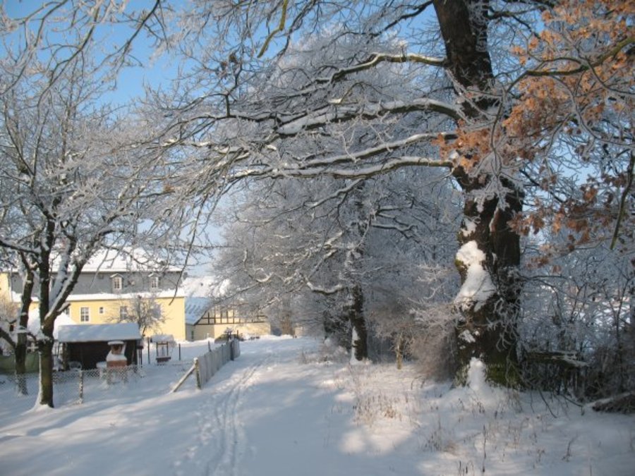 Impressionen